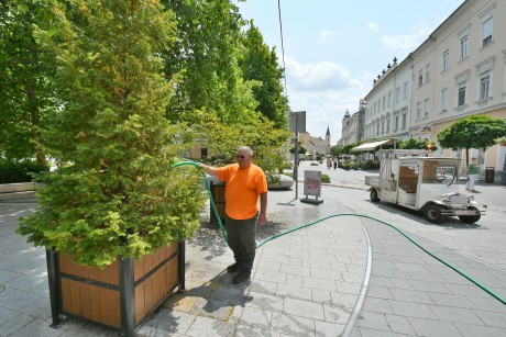 Saját kútból öntözi a Városgondnokság a közterületi növényeket